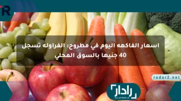 أسعار الفاكهة اليوم في مطروح: الفراولة تسجل 40 جنيها بالسوق المحلي